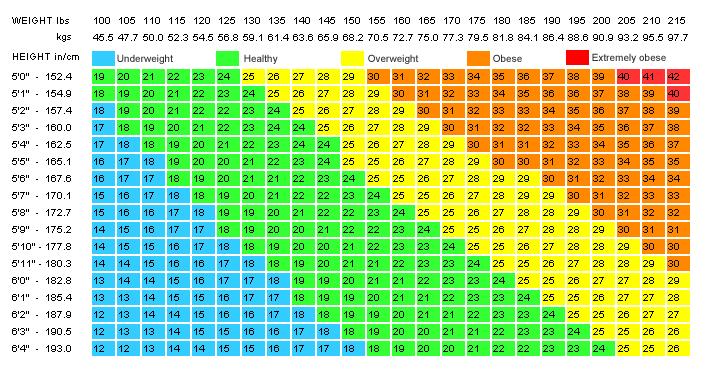 Body Mass Index Calculator/BMI Health Care Measuring Tool - China