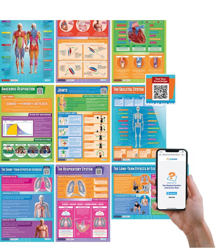 Daydream Education Posters