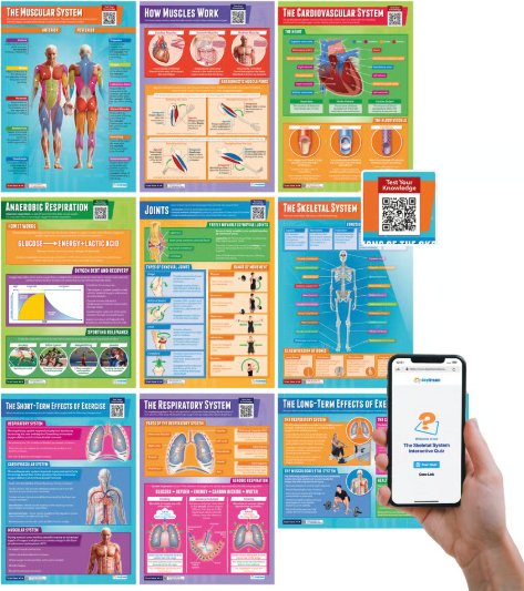 Daydream Education Posters
