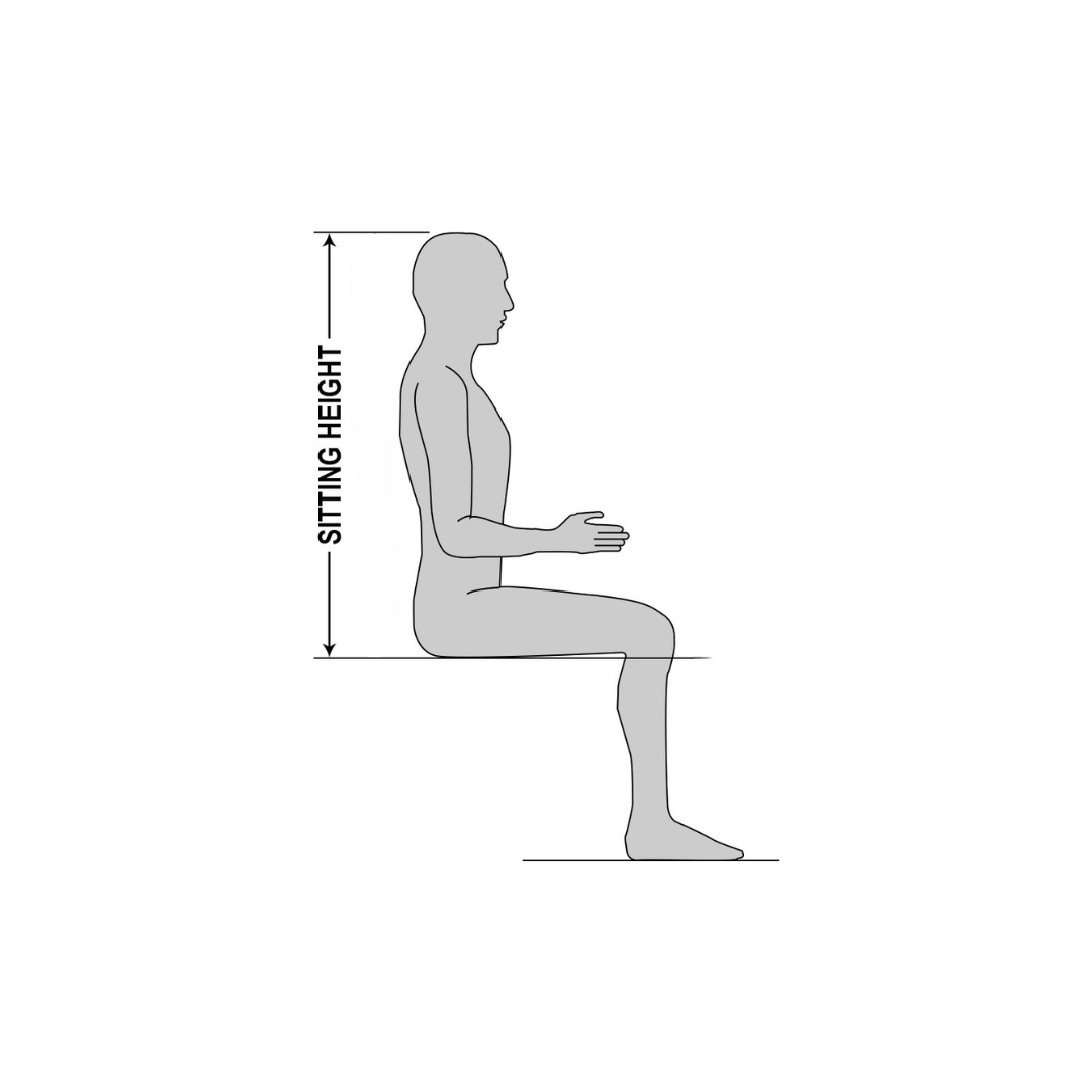 What is Sitting Height Measurement?