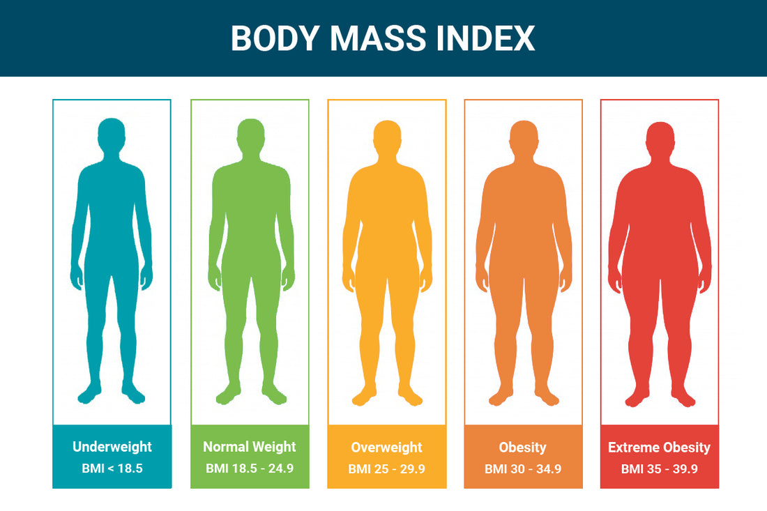 BMI – NutriActiva