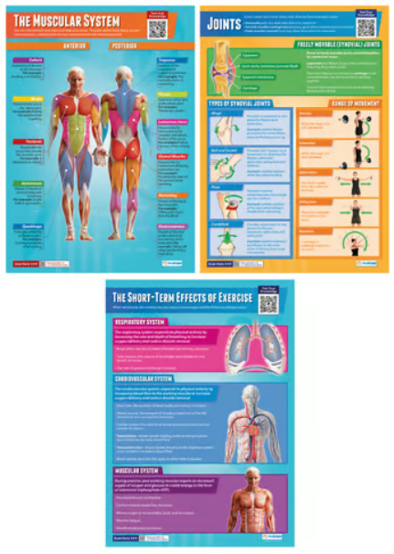 Set de 9 pósteres de Anatomía y Fisiología Aplicada