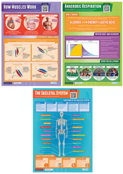 Set de 9 pósteres de Anatomía y Fisiología Aplicada