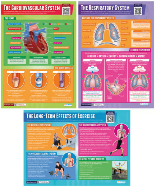 Set de 9 pósteres de Anatomía y Fisiología Aplicada