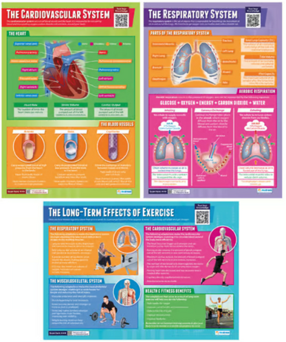 Set de 9 pósteres de Anatomía y Fisiología Aplicada