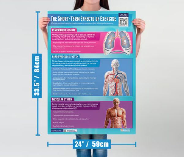 Set de 9 pósteres de Anatomía y Fisiología Aplicada